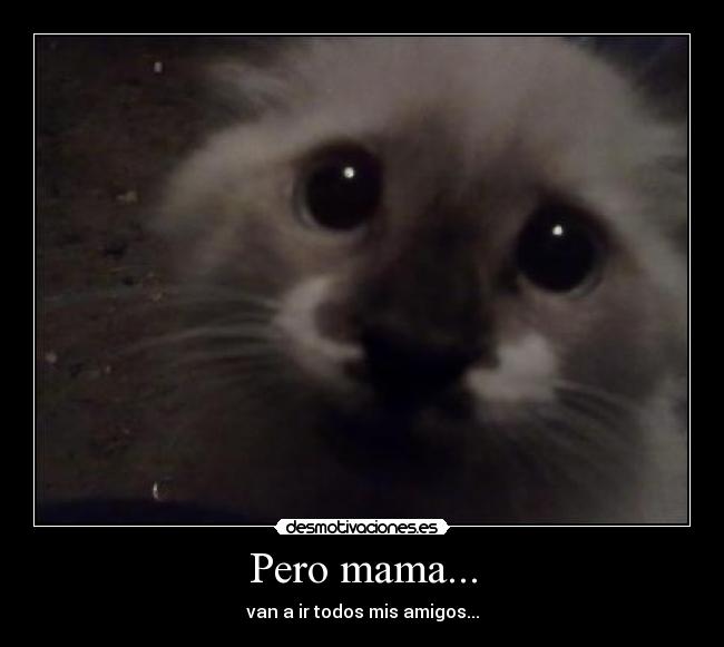 carteles timy turro desmotivaciones