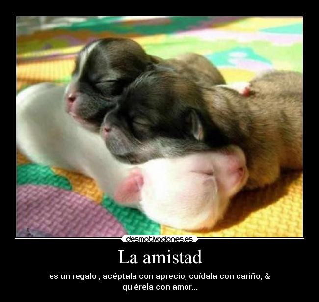 La amistad - es un regalo , acéptala con aprecio, cuídala con cariño, & quiérela con amor...