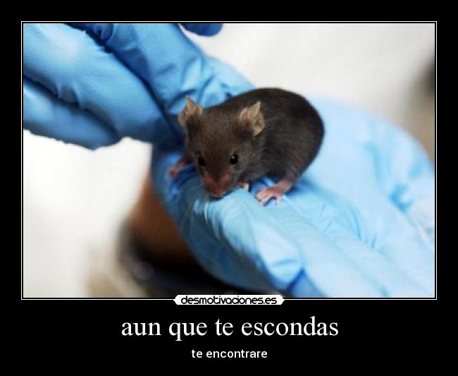 aun que te escondas -