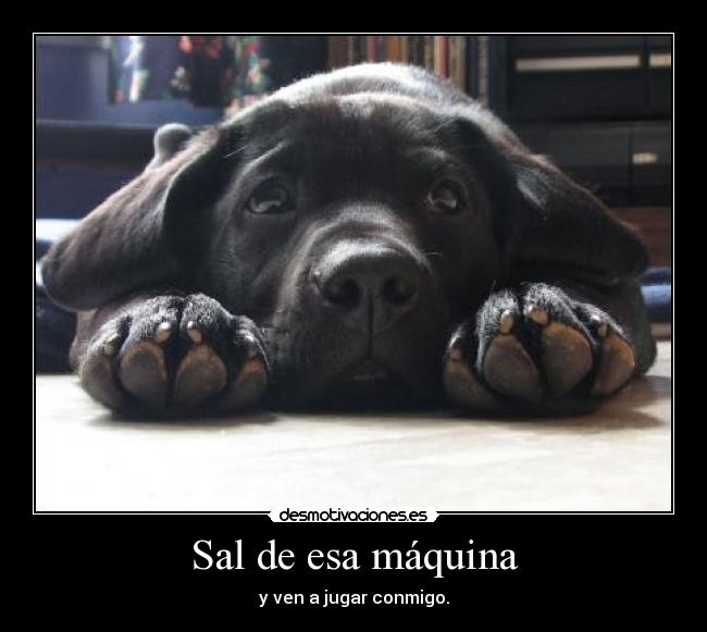 Sal de esa máquina -