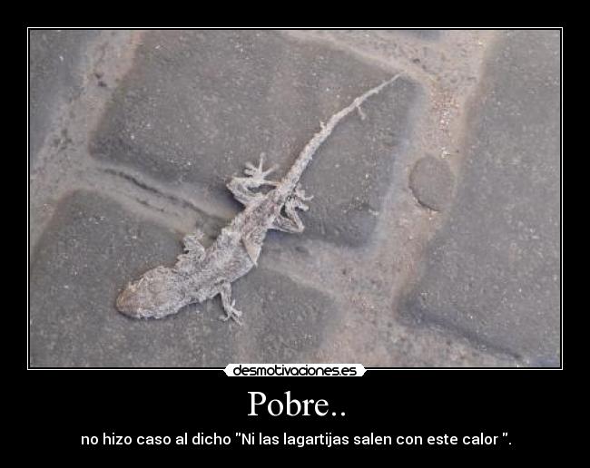 Pobre.. -
