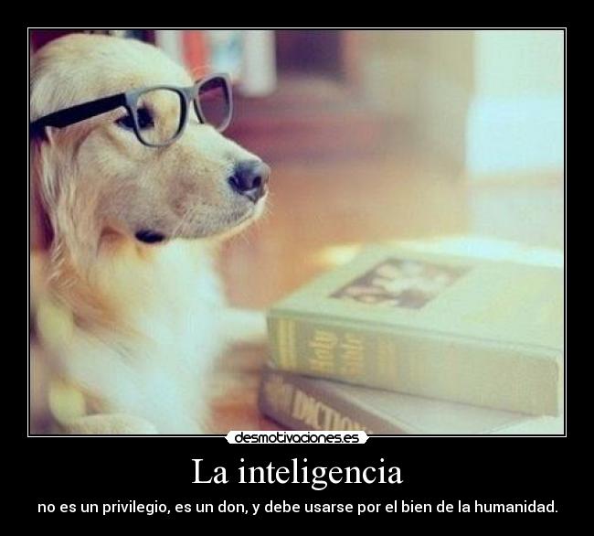 La inteligencia - no es un privilegio, es un don, y debe usarse por el bien de la humanidad.