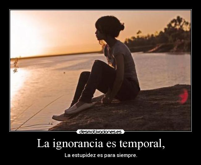 carteles ignorancia ignorancia temporal missma desmotivaciones