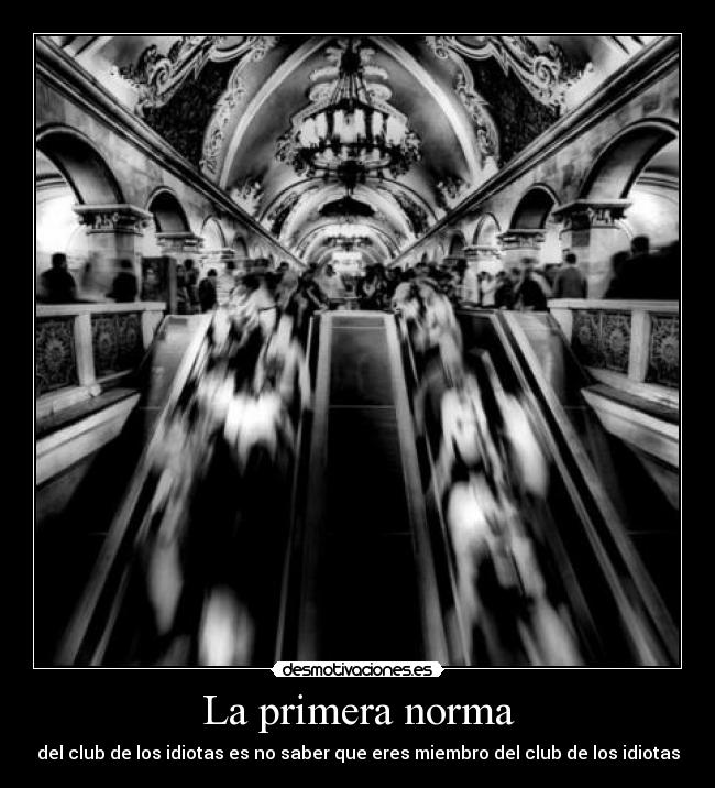 La primera norma - del club de los idiotas es no saber que eres miembro del club de los idiotas