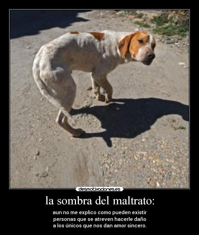 la sombra del maltrato: -