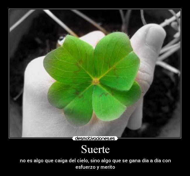 carteles suerte trebol dia desmotivaciones