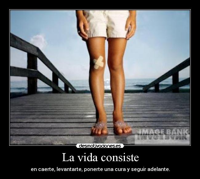 La vida consiste - 