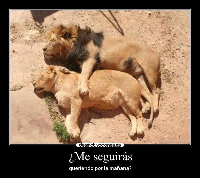 carteles 1084 desmotivaciones