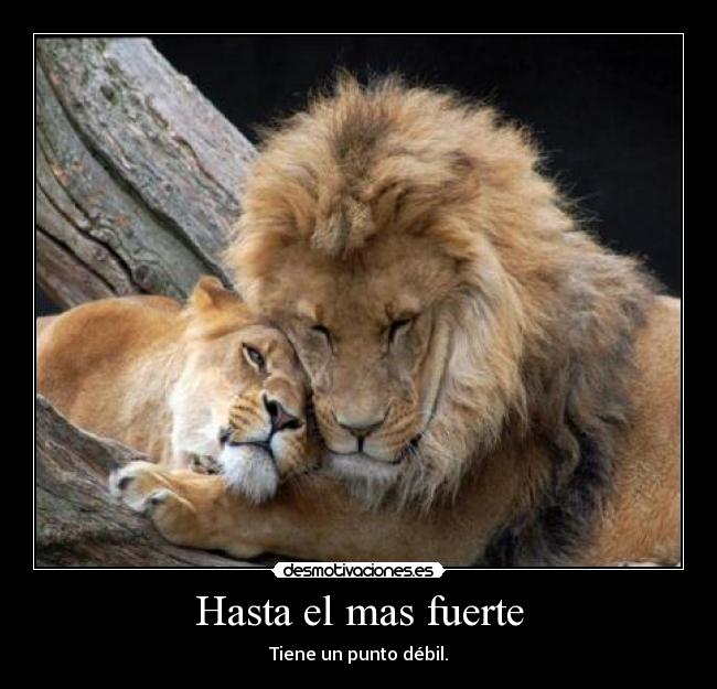 Hasta el mas fuerte - Tiene un punto débil.