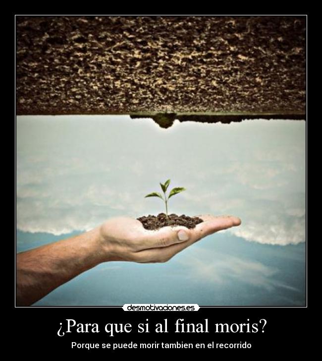 ¿Para que si al final moris? -