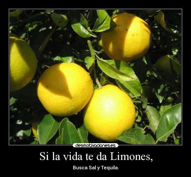 Si la vida te da Limones, - Busca Sal y Tequila.