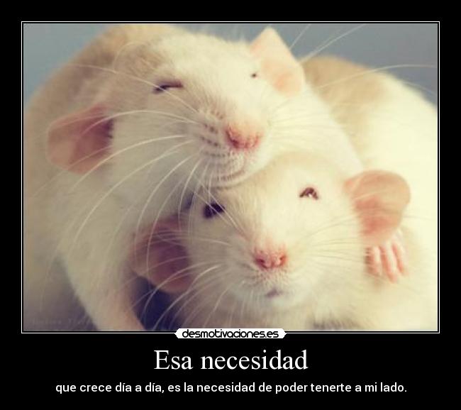Esa necesidad -