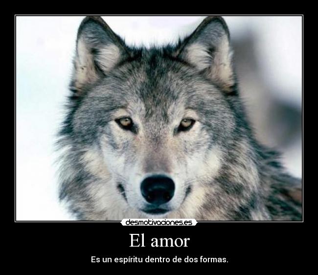 El amor - Es un espíritu dentro de dos formas.