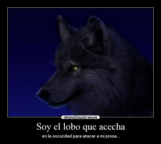 Soy el lobo que acecha -
