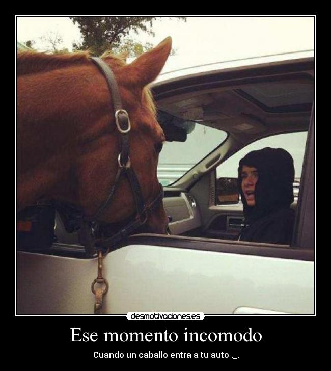 Ese momento incomodo - Cuando un caballo entra a tu auto ._.
