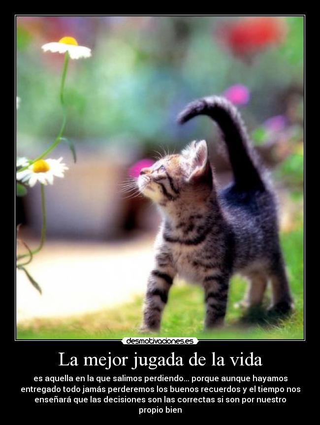 La mejor jugada de la vida - es aquella en la que salimos perdiendo... porque aunque hayamos
entregado todo jamás perderemos los buenos recuerdos y el tiempo nos
enseñará que las decisiones son las correctas si son por nuestro
propio bien