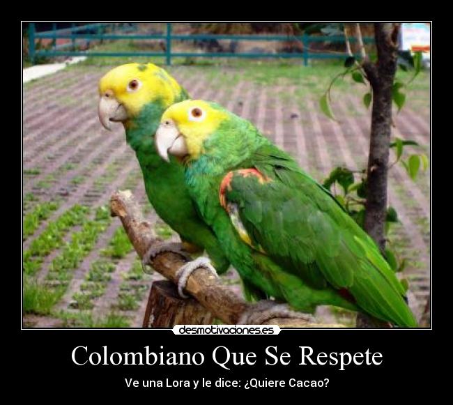 Colombiano Que Se Respete - 