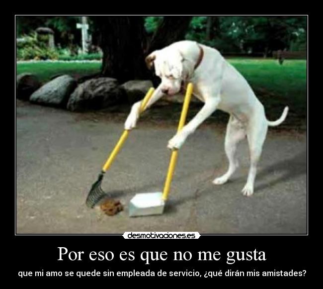 Por eso es que no me gusta - 