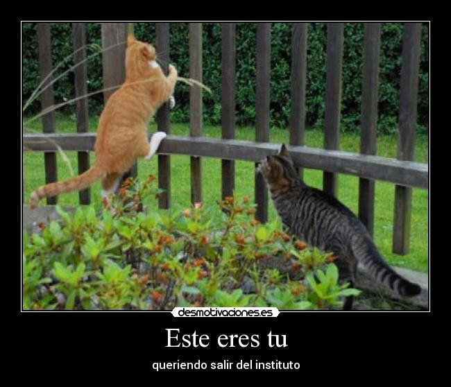 Este eres tu - queriendo salir del instituto