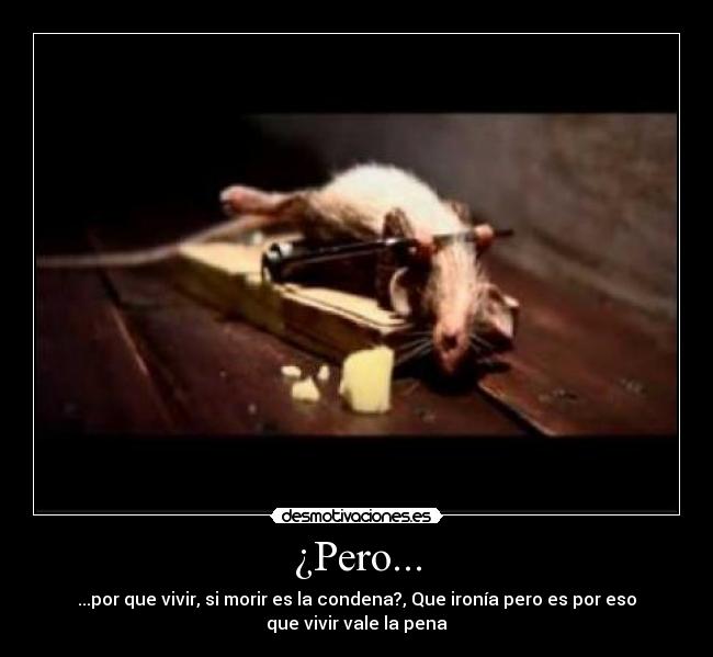 ¿Pero... - ...por que vivir, si morir es la condena?, Que ironía pero es por eso
que vivir vale la pena