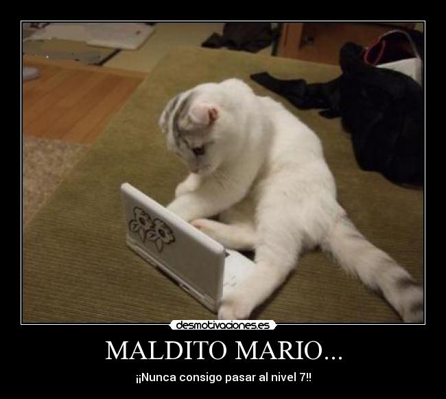 MALDITO MARIO... - 