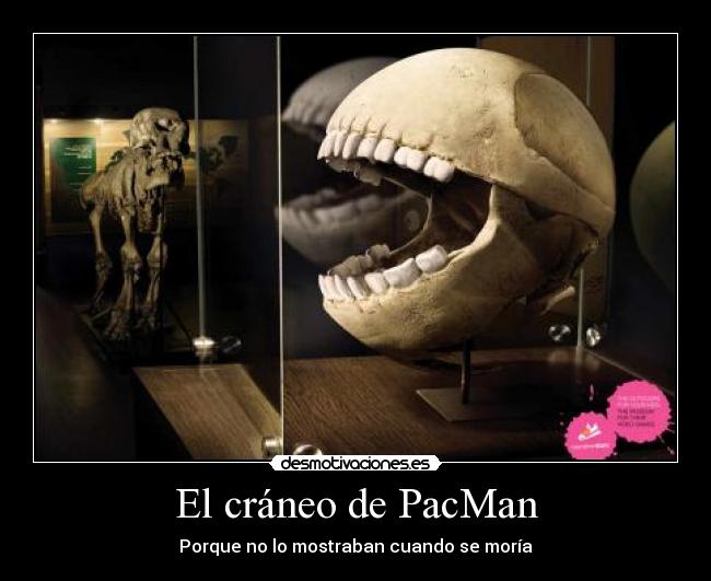 El cráneo de PacMan -
