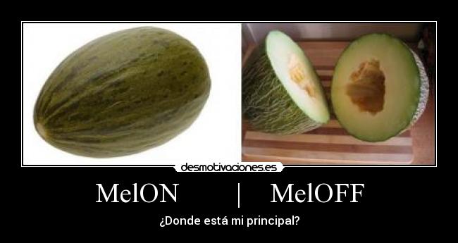 MelON        |    MelOFF - ¿Donde está mi principal?