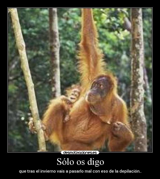 Sólo os digo - que tras el invierno vais a pasarlo mal con eso de la depilación..