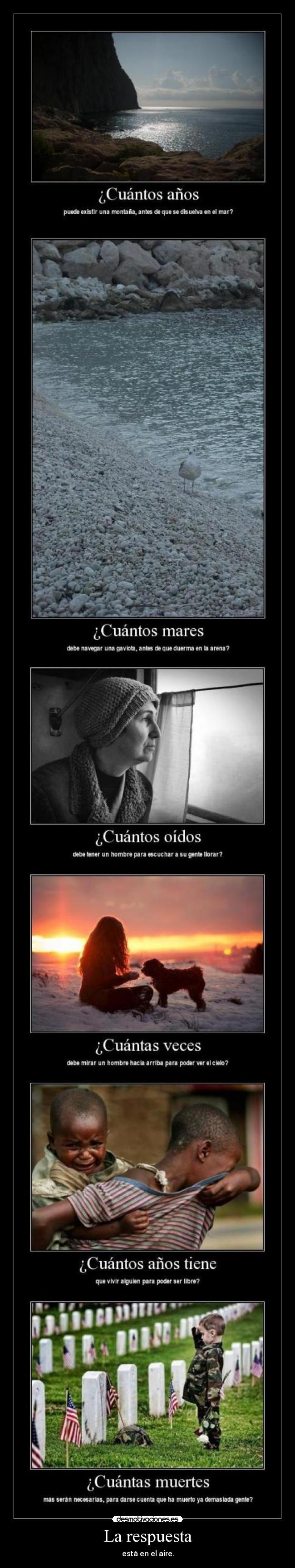 La respuesta - 