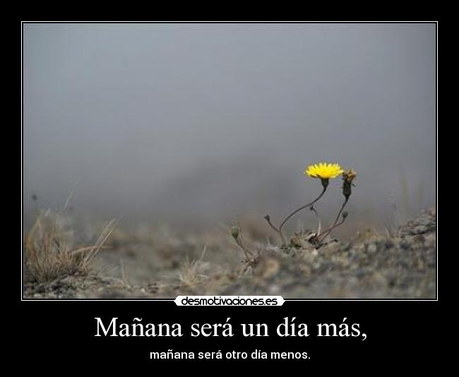 Mañana será un día más, - mañana será otro día menos.