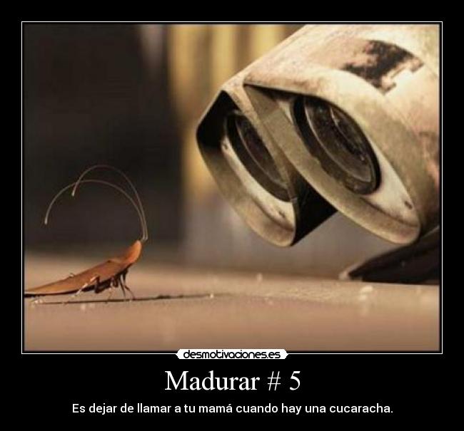 Madurar # 5 -