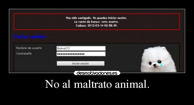 No al maltrato animal. - 