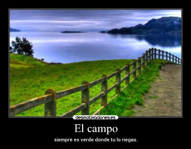 El campo - siempre es verde donde tu lo riegas.