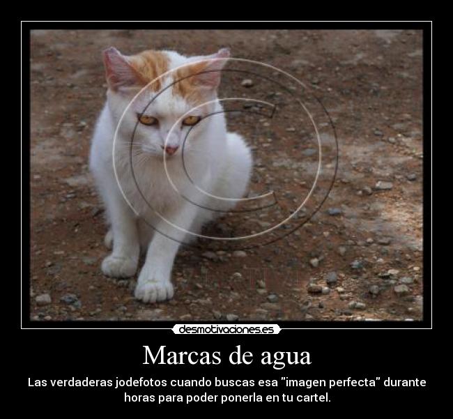 Marcas de agua - Las verdaderas jodefotos cuando buscas esa imagen perfecta durante
horas para poder ponerla en tu cartel.