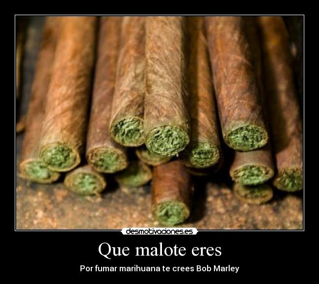 Que malote eres - Por fumar marihuana te crees Bob Marley