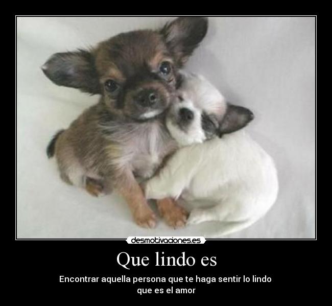 Que lindo es - Encontrar aquella persona que te haga sentir lo lindo 
que es el amor