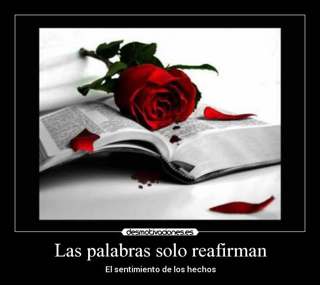 Las palabras solo reafirman - El sentimiento de los hechos