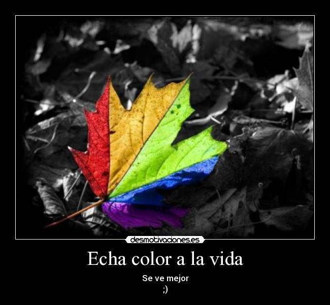 carteles vida color vida desmotivaciones