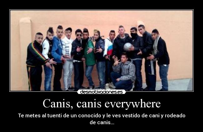 carteles canis everywhere amigo tuenti desmotivaciones