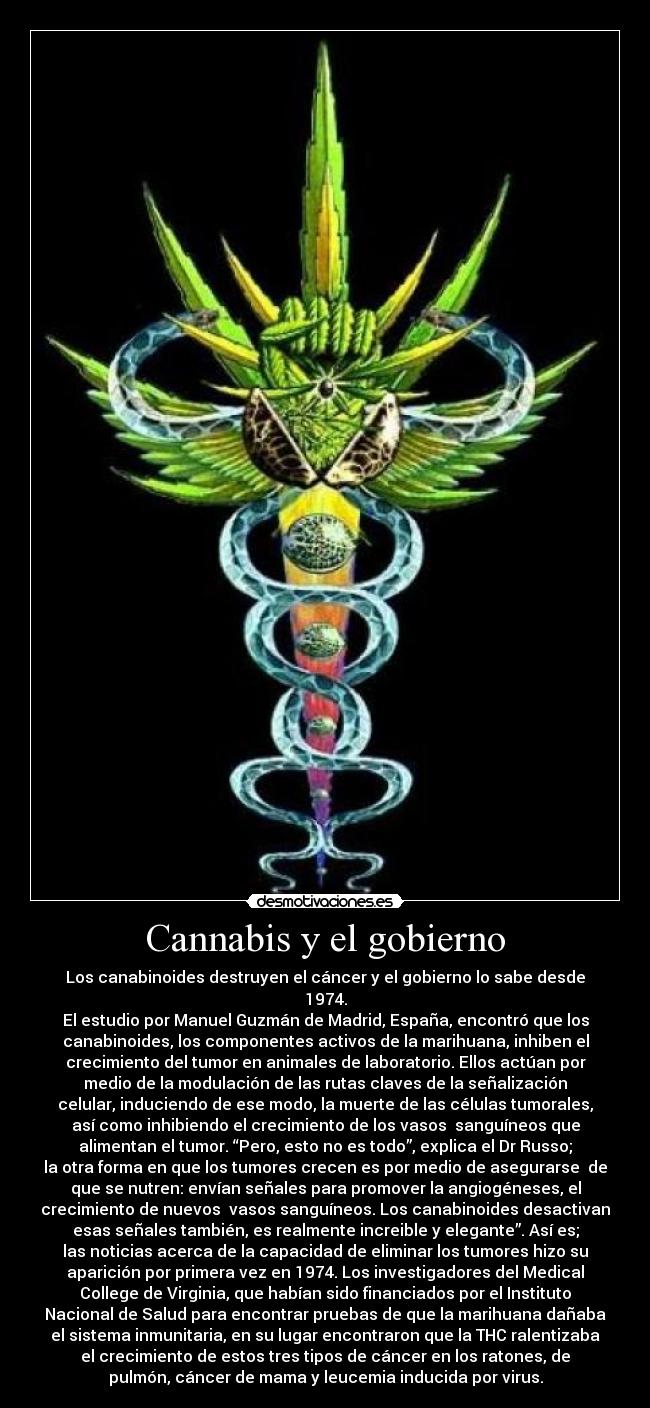 carteles thanatoslothar cannabis realidad desmotivaciones