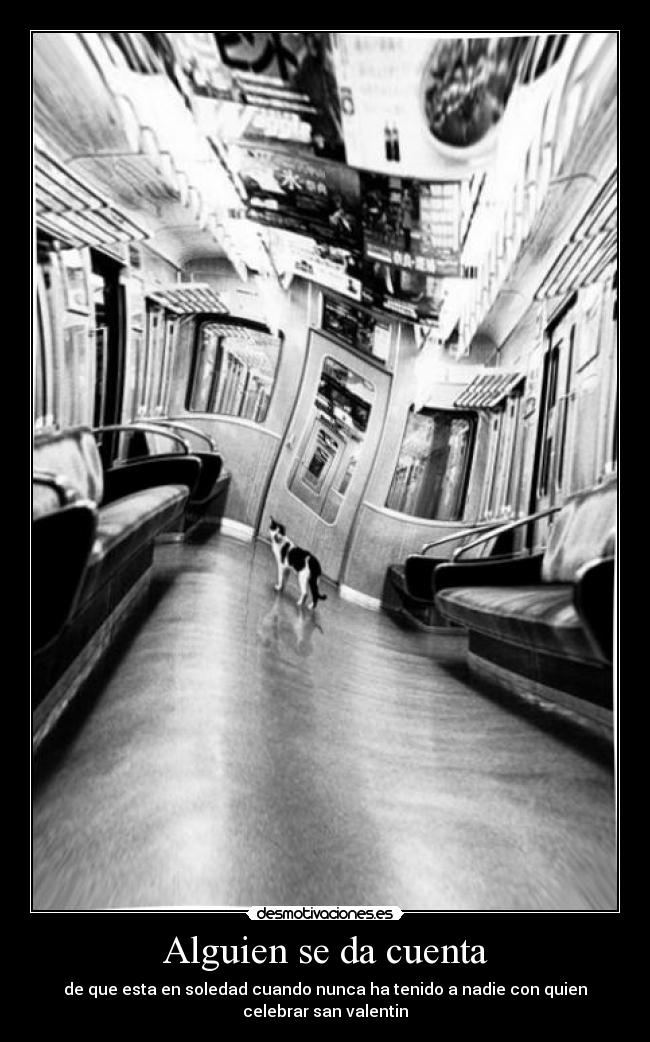 Alguien se da cuenta - de que esta en soledad cuando nunca ha tenido a nadie con quien
celebrar san valentin
