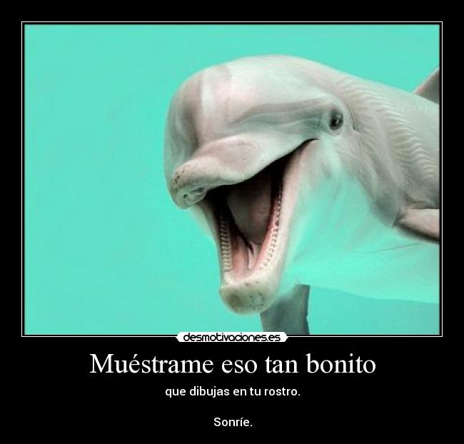 Muéstrame eso tan bonito - que dibujas en tu rostro.

Sonríe.