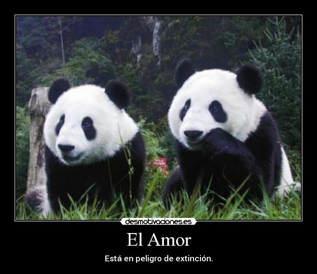 El Amor - Está en peligro de extinción.
