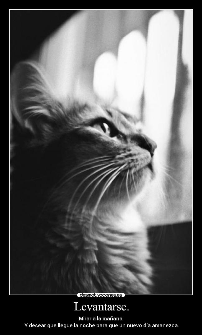 Levantarse. -