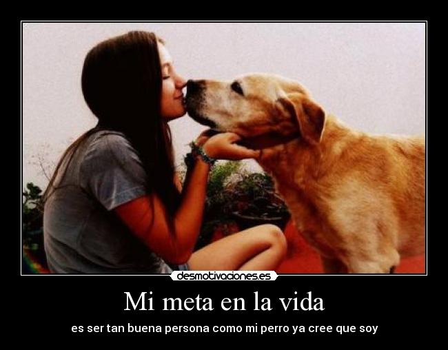 carteles vida rrrrrrrrrrrrrr desmotivaciones