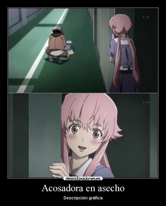 Acosadora en asecho - Descripción gráfica