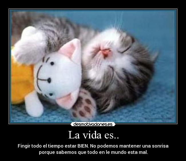La vida es.. -