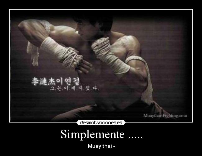 Define tu cuerpo y aprende técnicas MMA en 60 días.