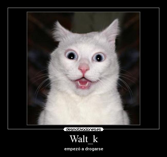 Walt_k -