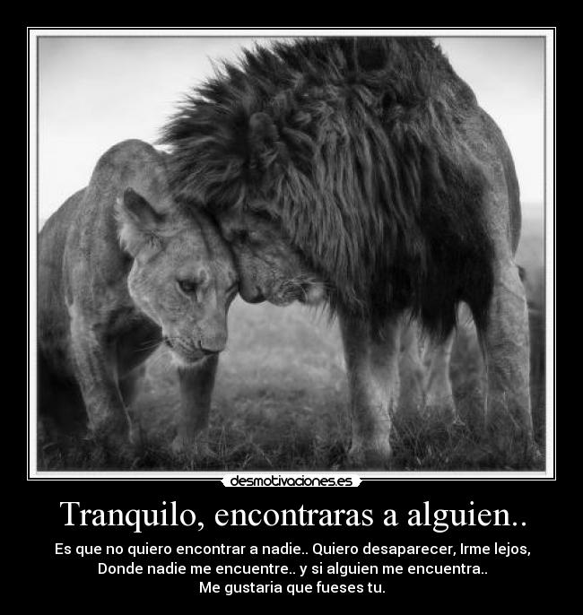 Tranquilo, encontraras a alguien.. - Es que no quiero encontrar a nadie.. Quiero desaparecer, Irme lejos,
Donde nadie me encuentre.. y si alguien me encuentra..
Me gustaria que fueses tu.